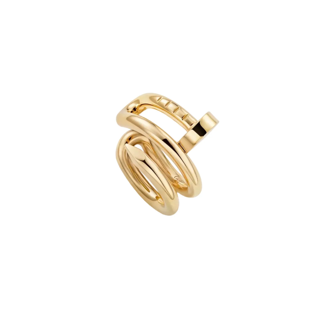 Juste un Clou Wraparound Nail Earring