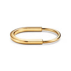 Lock Sleek Polished Oval Bangle