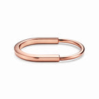 Lock Sleek Polished Oval Bangle