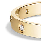 Love Ten Stone Classic Bangle