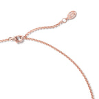Panthère de Panther Head Pendant Necklace