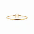 T Wire Duo Pavé Inlay Bangle